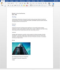Business example word document